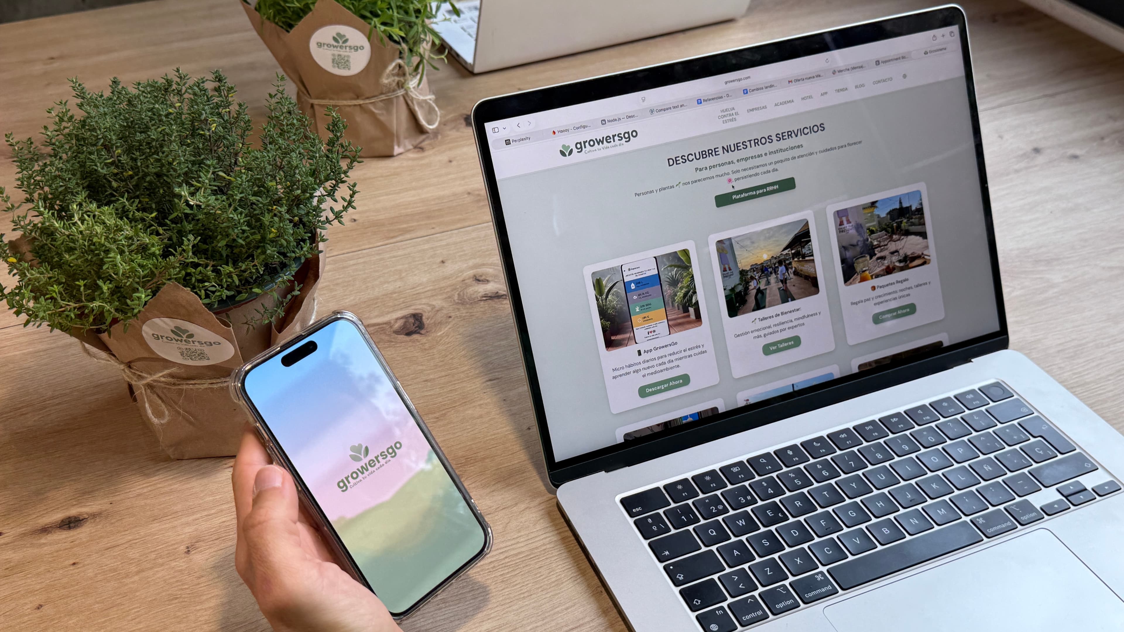 Wellness Academy - Group